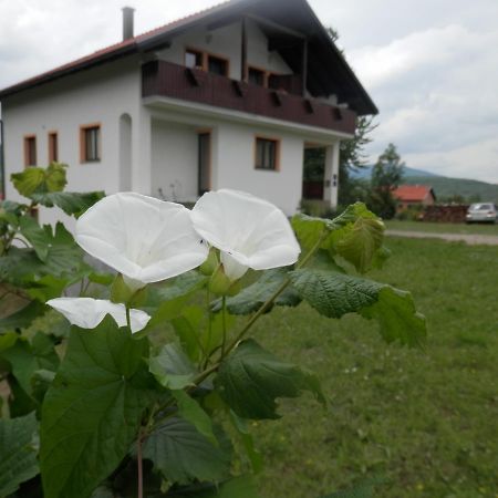 Guesthouse Matija Irinovac Eksteriør billede