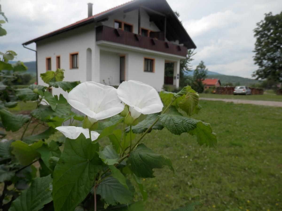 Guesthouse Matija Irinovac Eksteriør billede