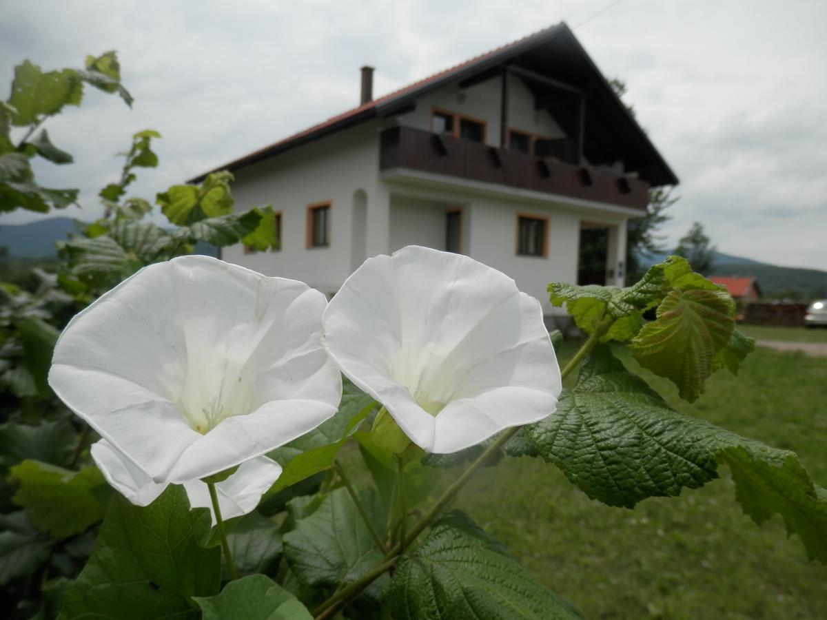 Guesthouse Matija Irinovac Eksteriør billede